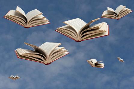 flying-books-luisportugal